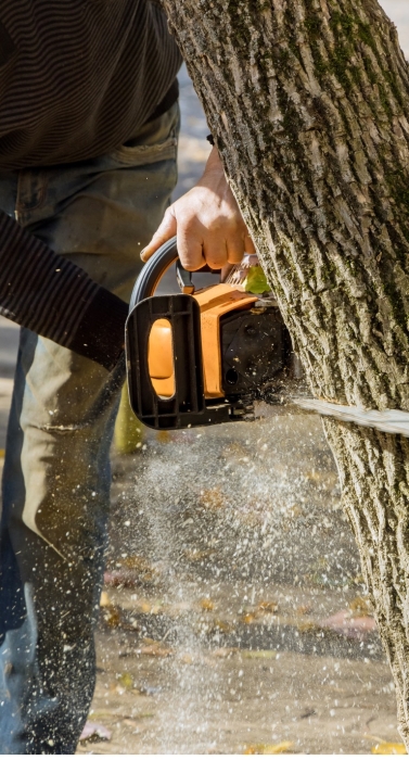 Diseño sin título - 1